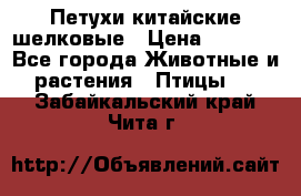 Петухи китайские шелковые › Цена ­ 1 000 - Все города Животные и растения » Птицы   . Забайкальский край,Чита г.